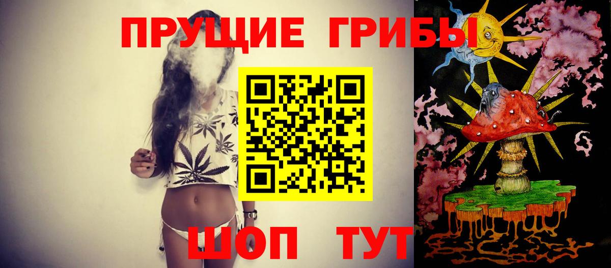 Псилоцибиновые грибы MAGIC MUSHROOMS  Вход с VPN  Большой Камень 